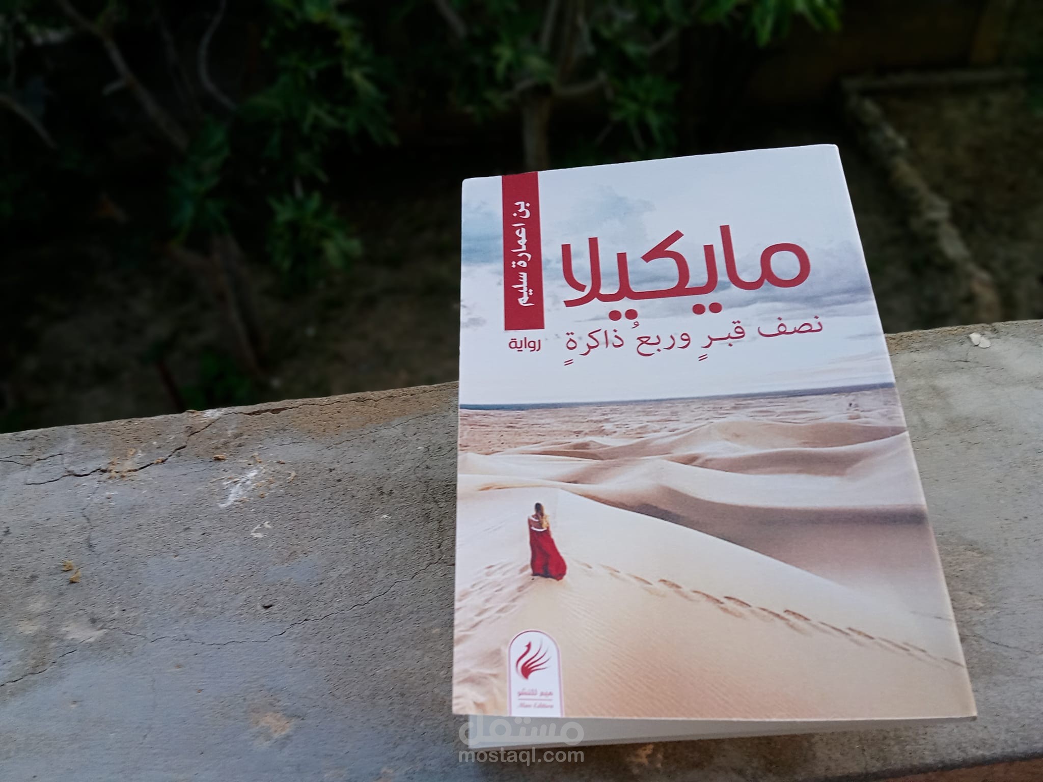 مقاطع من روايتي