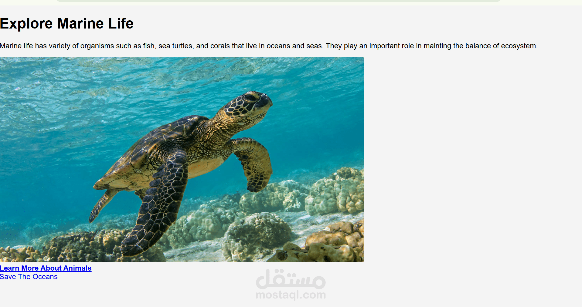 تصميم واجهة صفحة ويب تعريفية عن الحياة البحرية