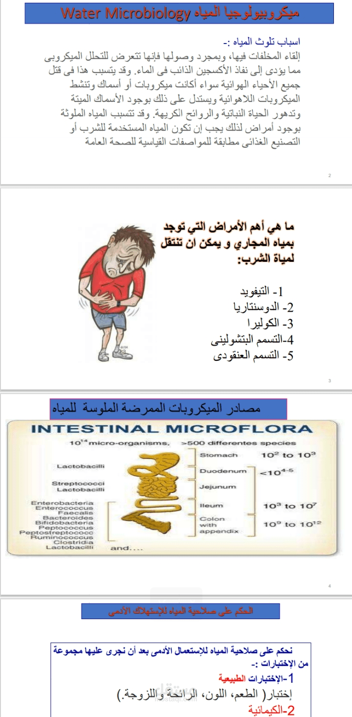 نموزج عمل- ميكرو الماء