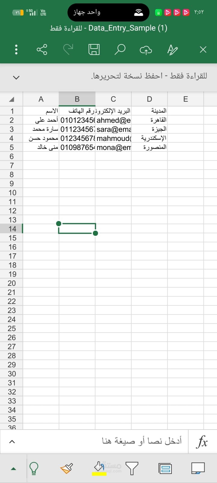 إدخال وتنظيم بيانات في ملف Excel