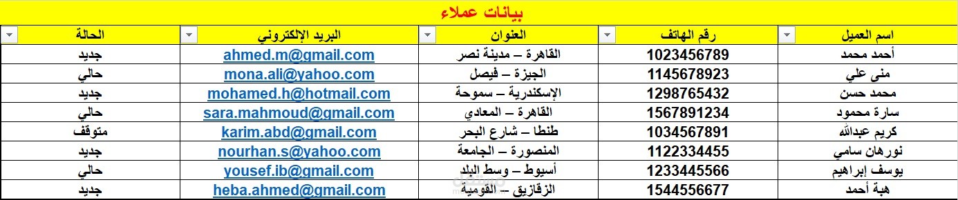 نموذج عمل تجريبي يوضح مهارتي في إدخال البيانات وتنظيمها بدقة باستخدام Excel، مع تنسيق احترافي وسهولة في التصفية والبحث