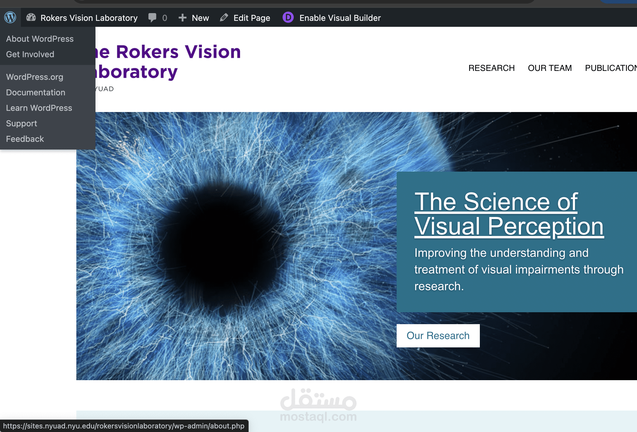 مشروع: موقع مختبر Rokers للرؤية – جامعة نيويورك أبوظبي