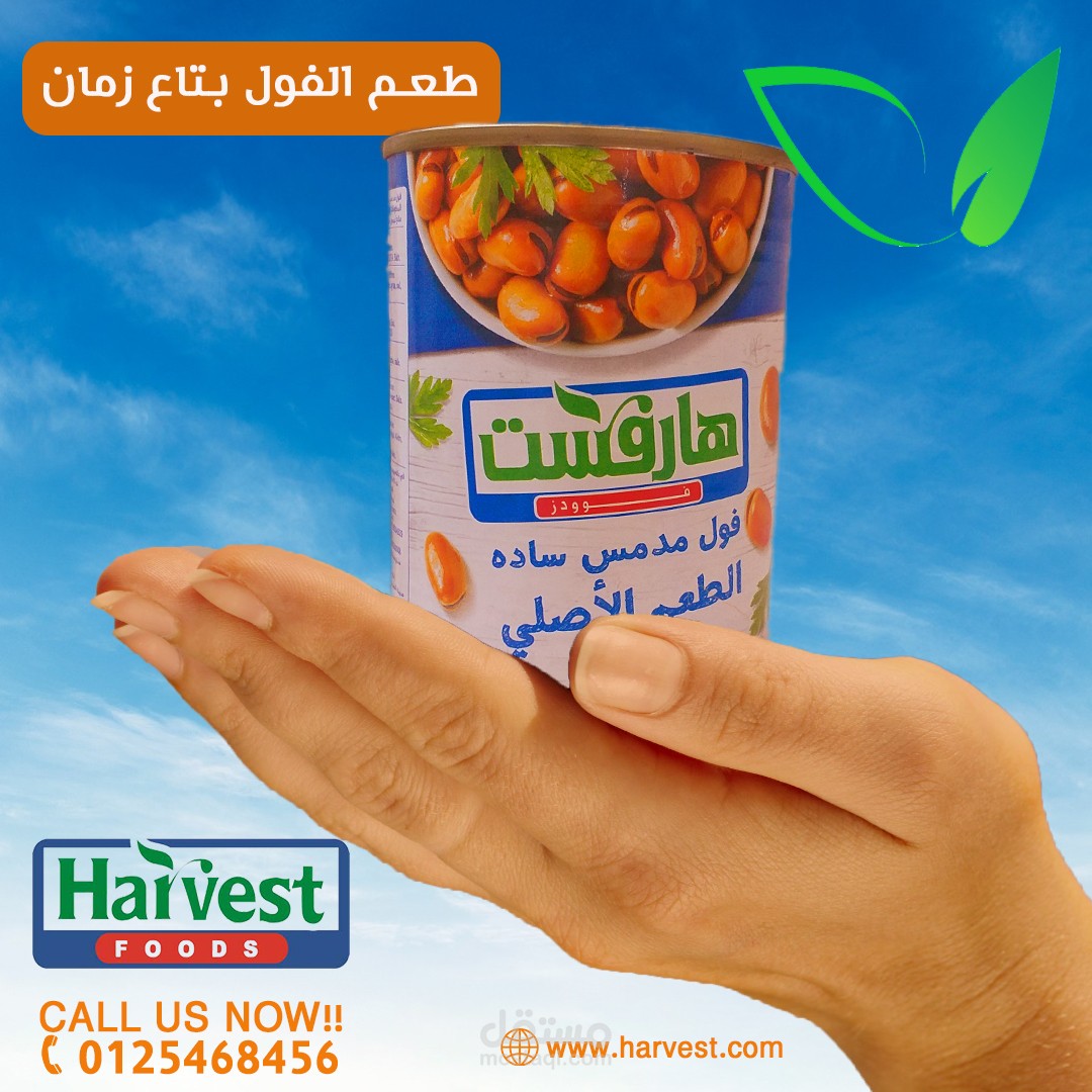 تصميم اعلان عن شركه هارفست