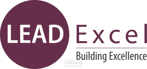 commercial Excellence lead presentation