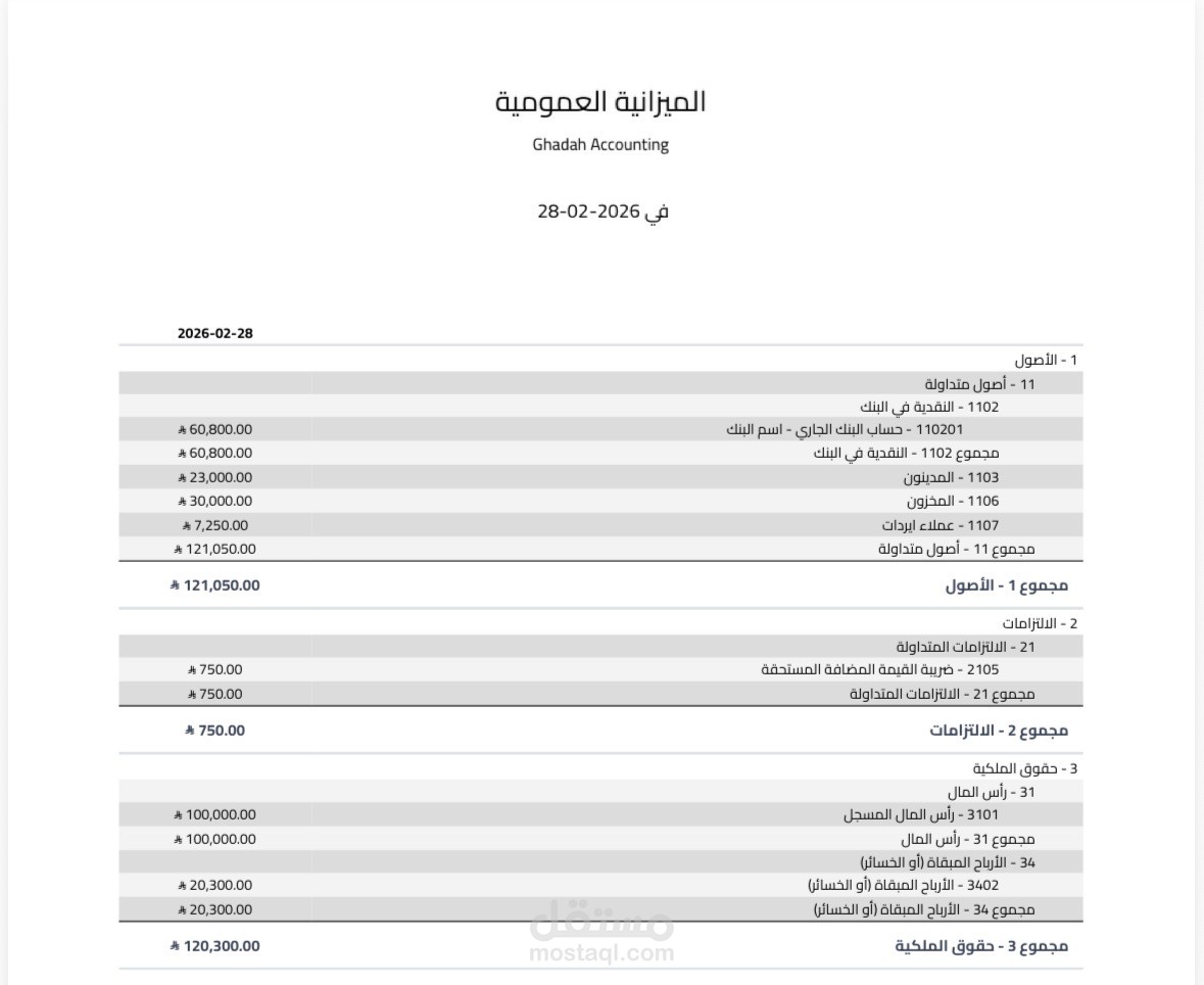 اصدار تقرير الميزانية العمومية والدخل والارباح والخسائر