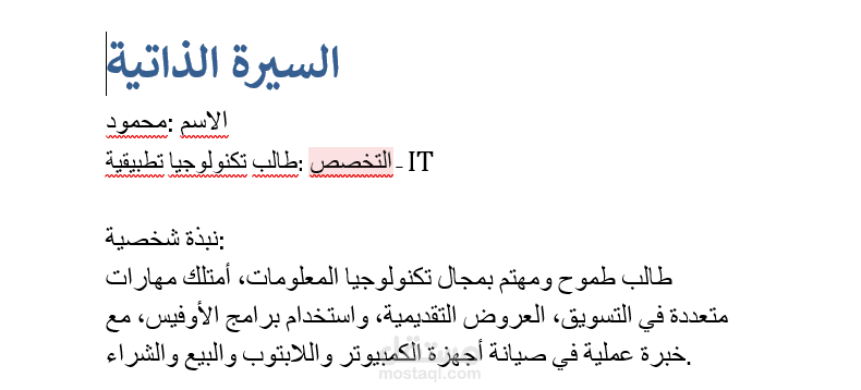 تنسيق ملف Word احترافي (سيرة ذاتية / تقرير)