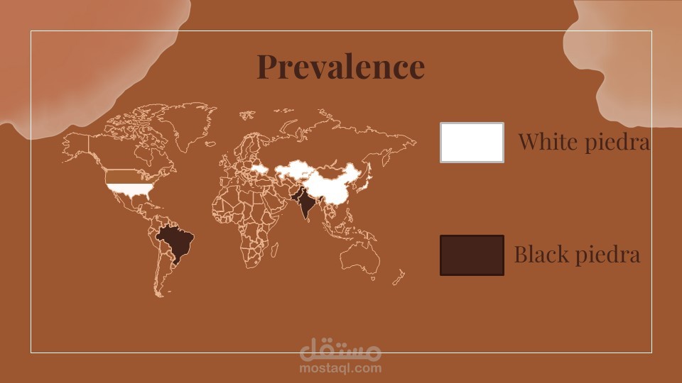 عرض تقديمي ( Presentation ) عن نوع من انواع الفيروسات و انتشاره