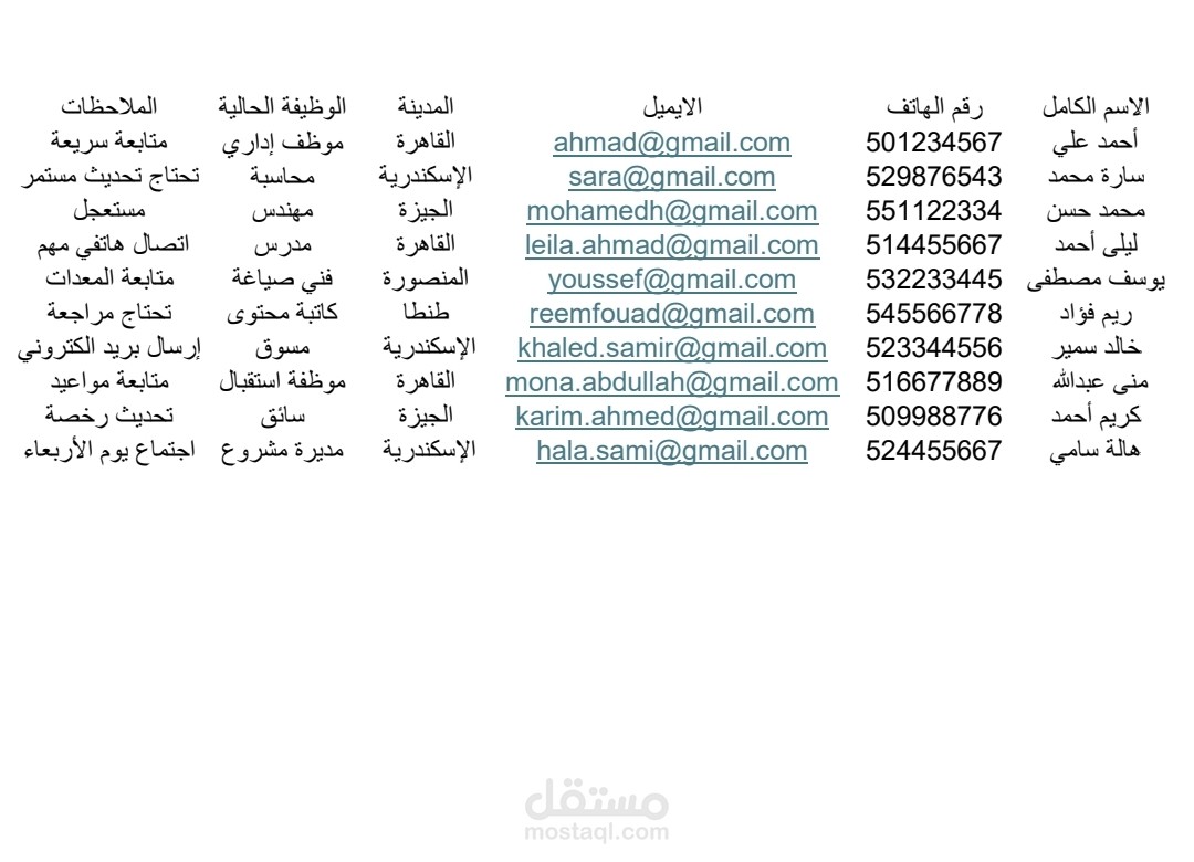 ادخال البيانات وتنسيقها على اكسل