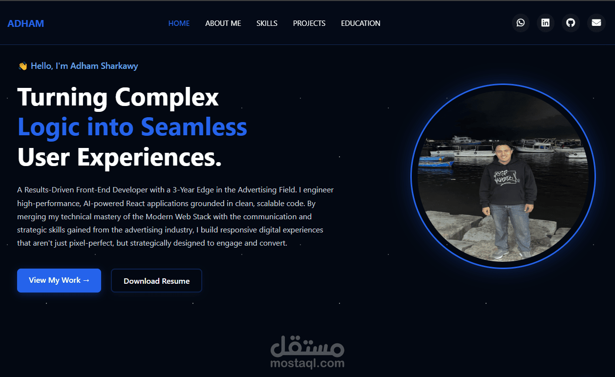 professional portfolio