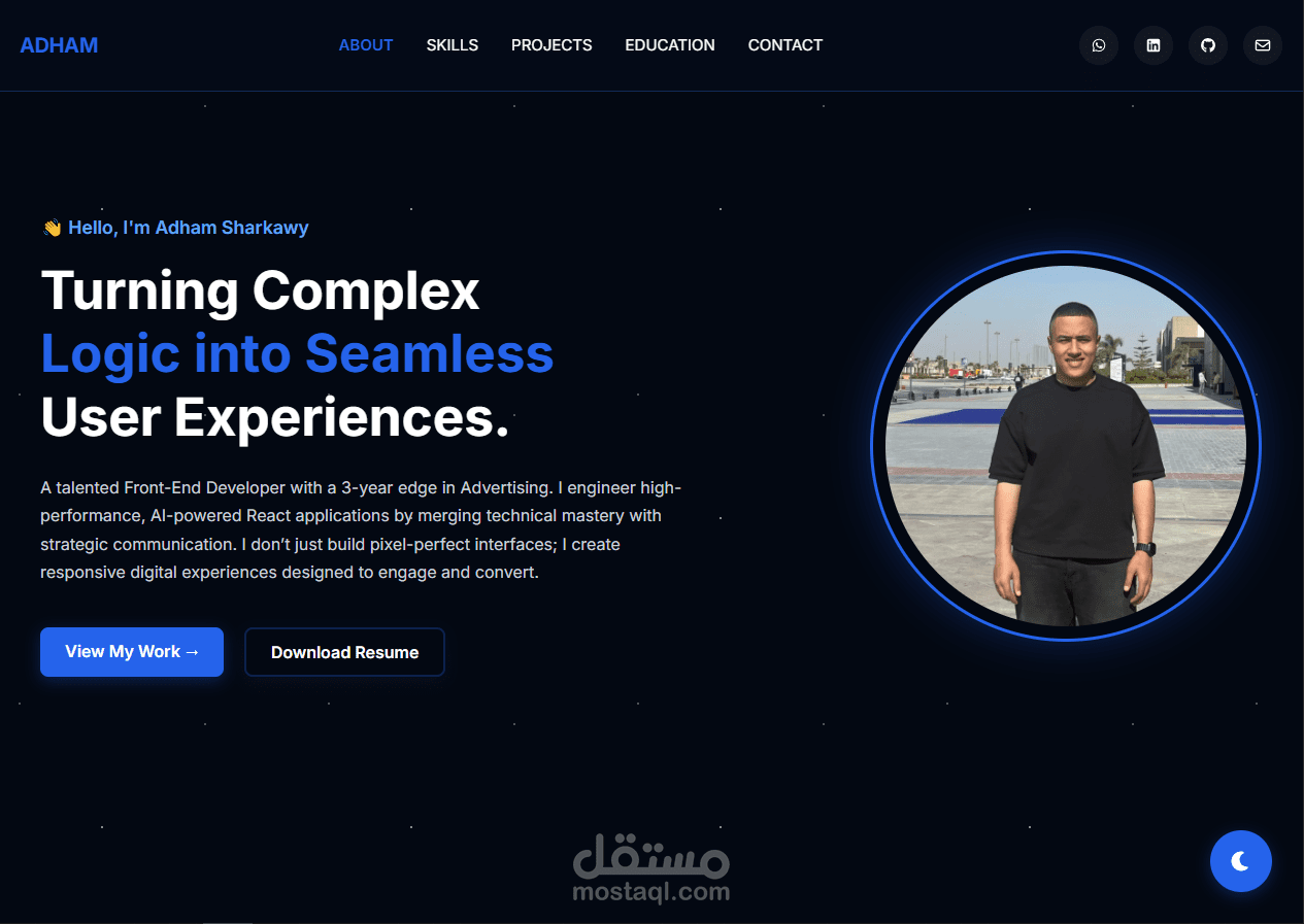 professional portfolio