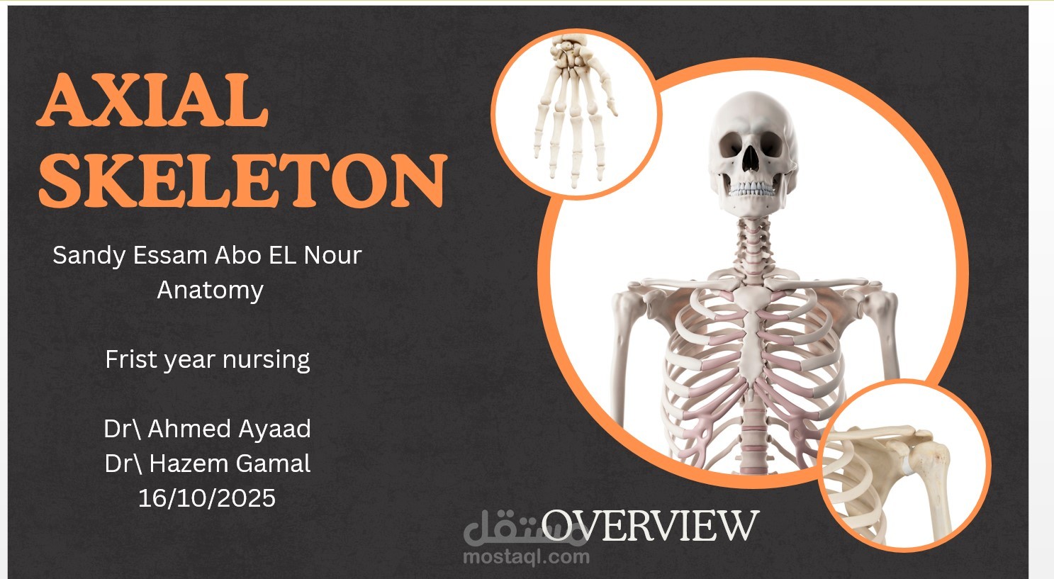 تكوين جسم الإنسان