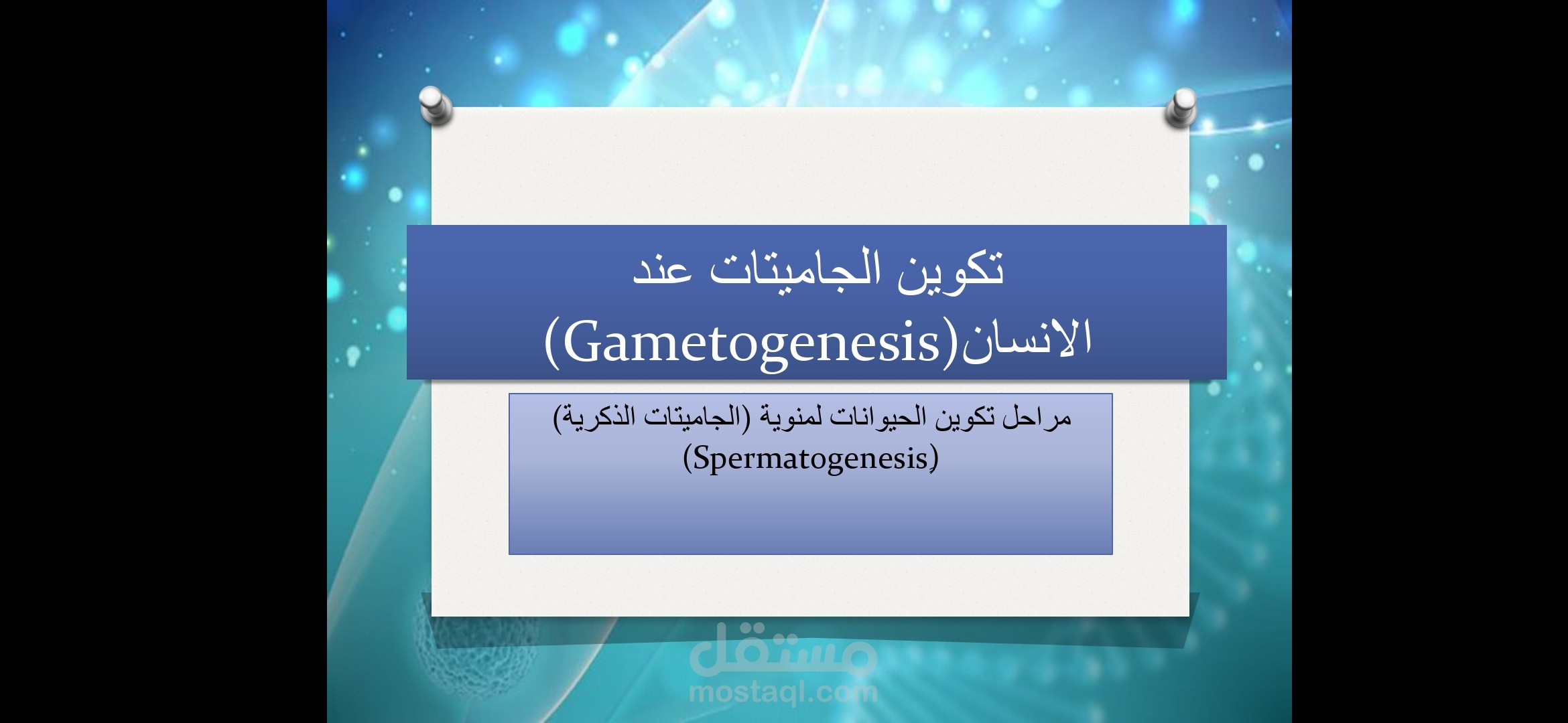 شرح درس تكوين الجاميتات