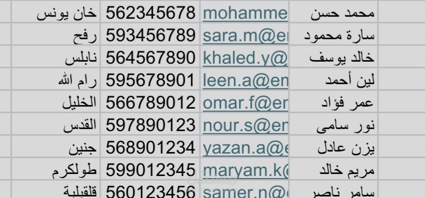 إدخال وتنظيم البيانات باستخدام Excel وGoogle Sheets