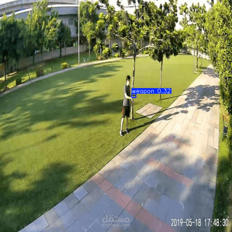 Weabons detection (Live cam)
