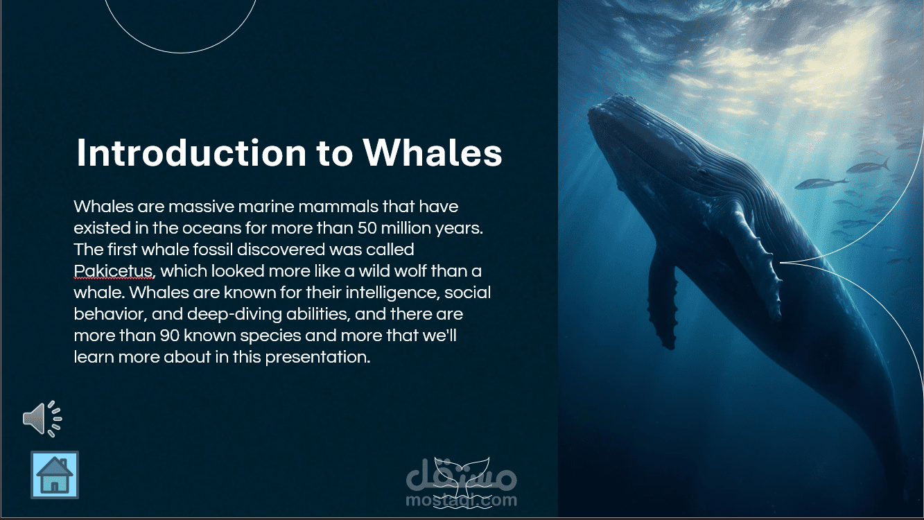 تصميم عرض تقديمي احترافي