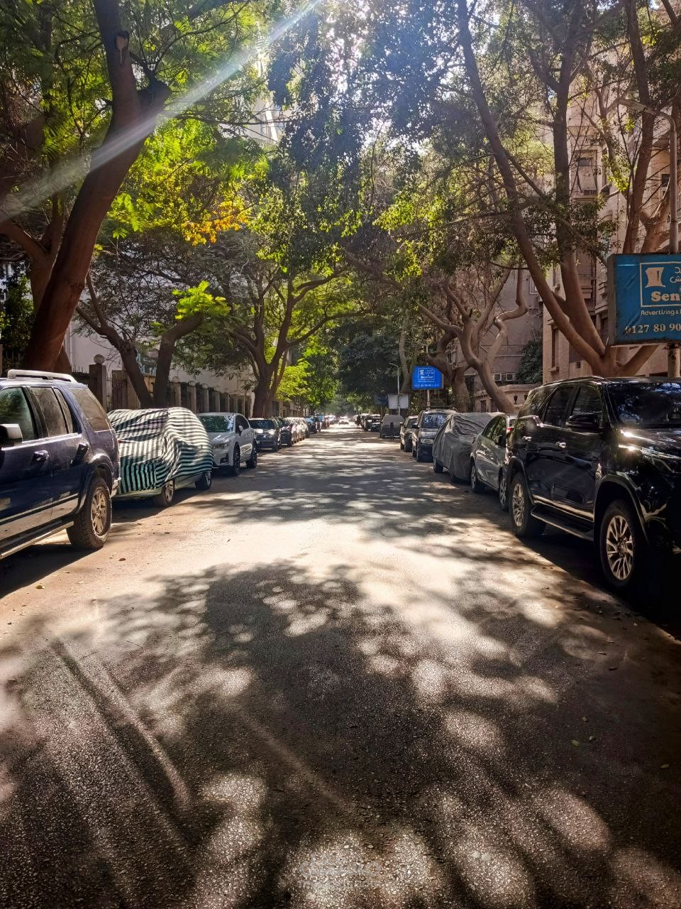 صورة في احدي شوارع الزمالك