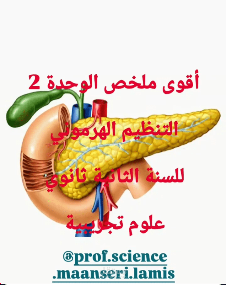 يوتيوب