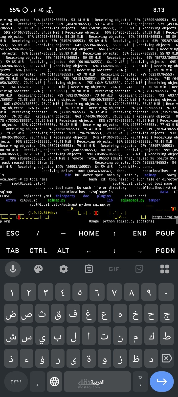 برمجة أدوات وسكربتات أتمتة لفحص الثغرات باستخدام Python"