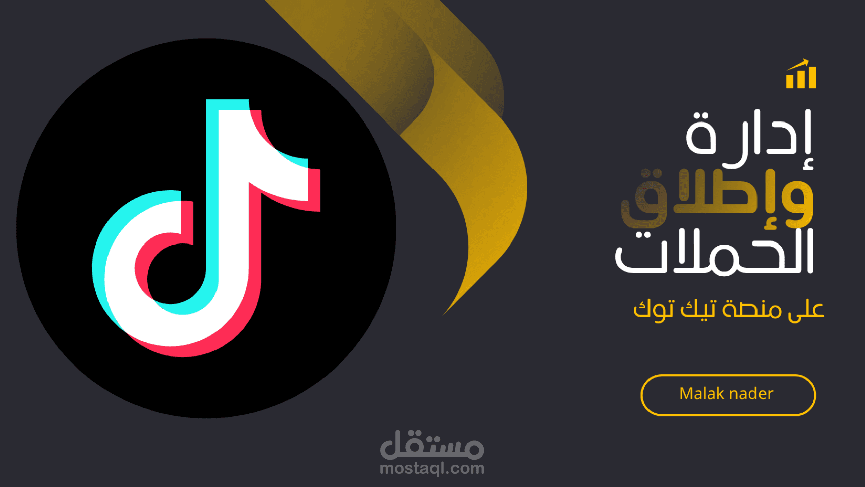 إدارة وإطلاق الحملات الاعلانية على منصة تيك توك