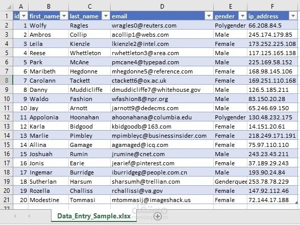 تنظيم بيانات على excel
