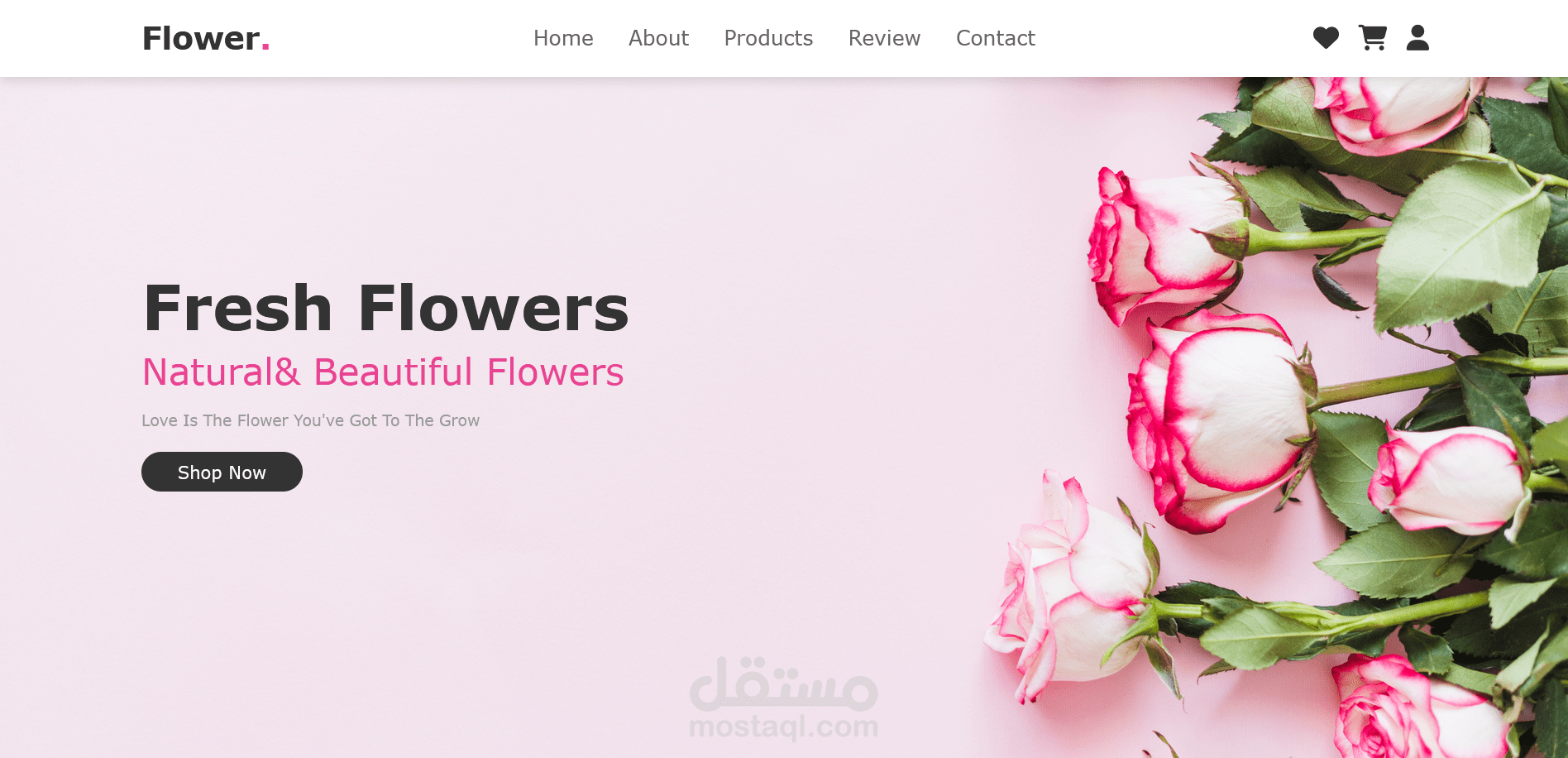 تصميم موقع  ورود الكتروني