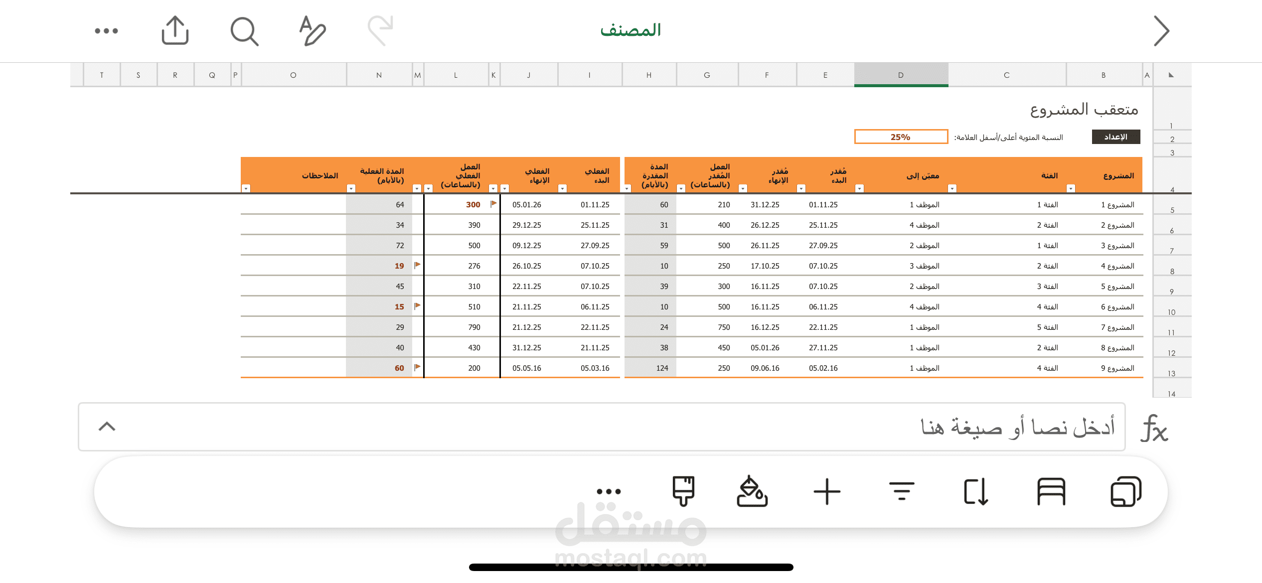 تقرير متكامل لإدارة المشاريع والموازنات المالية .