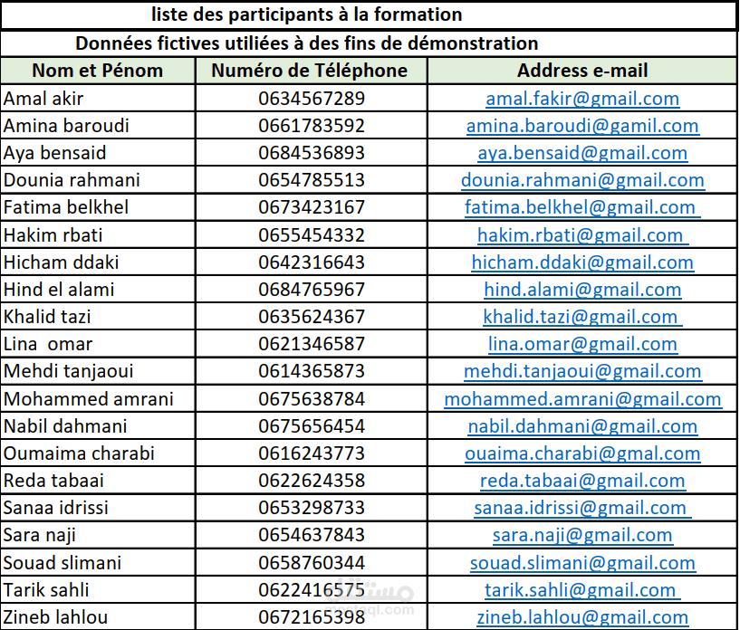 نمودج ادخال بيانات - Excel