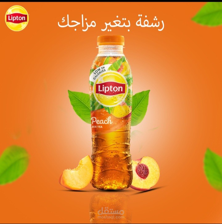 سوشيال ميديا