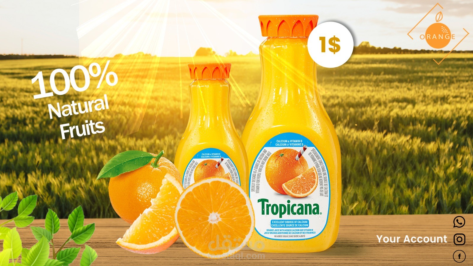 فلسطين _ غزة