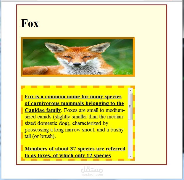 فلسطين _ غزة