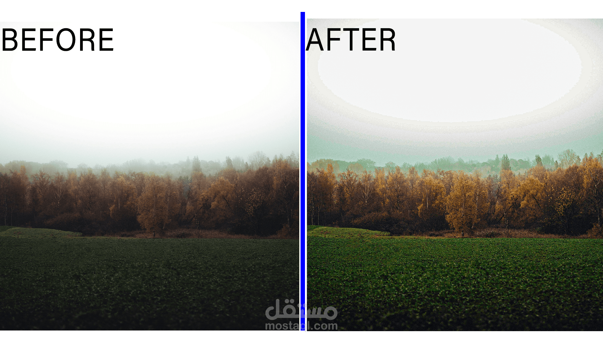 تصحيح ألوان وتحسين إضاءة الصور الفوتوغرافية (Color Grading)