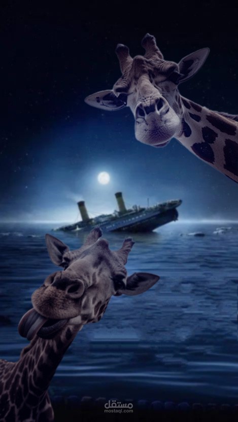 بعض المشاريع المنجزة ضمن منحة iti