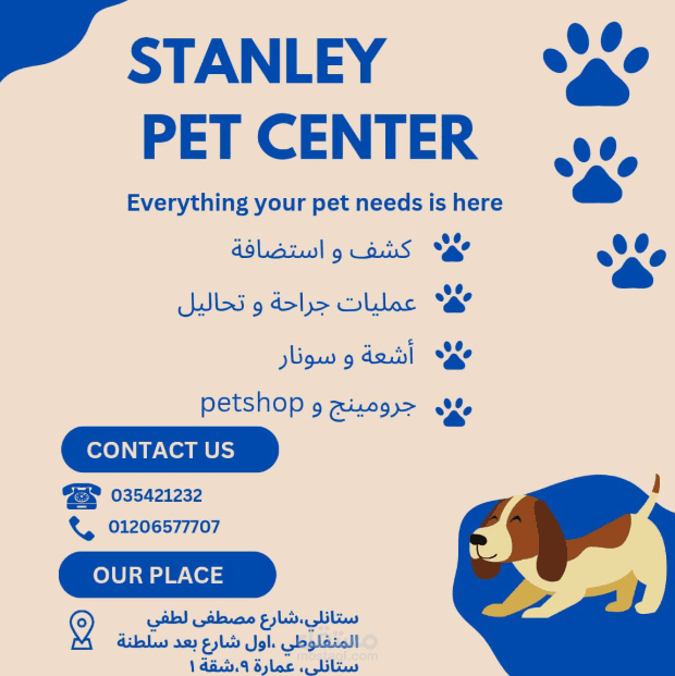 خدمات صفحة بالعربي