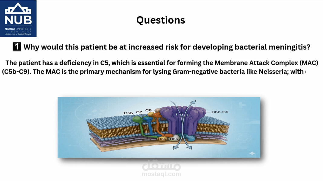 تصميم وإنتاج فيديو تعليمي طبي احترافي (Case Study: Meningococcal Meningitis)