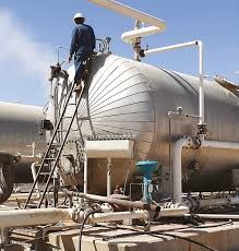 Octavia Energy (Block S-1), Inc