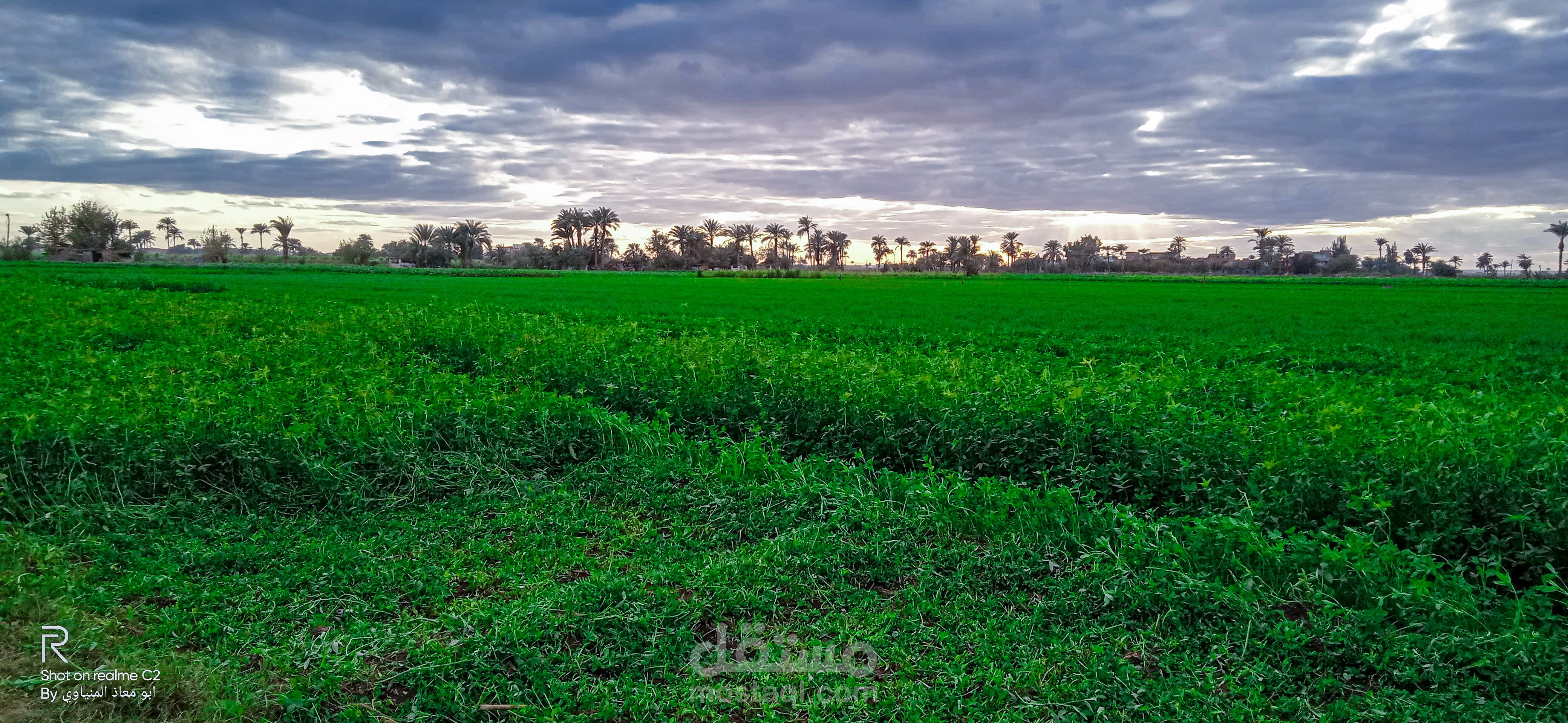 تعديل وانشاء الصور