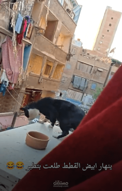 مونتاج فيديو قصير