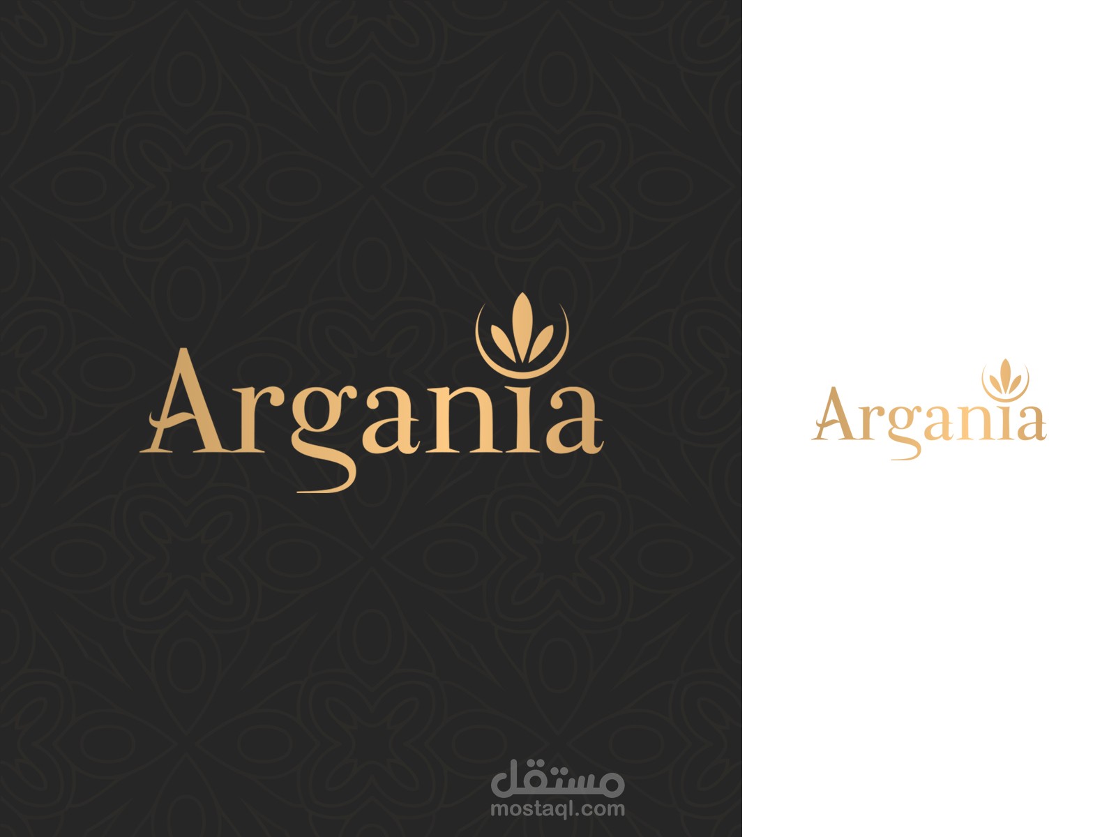 الهوية البصرية لشعار  Argania