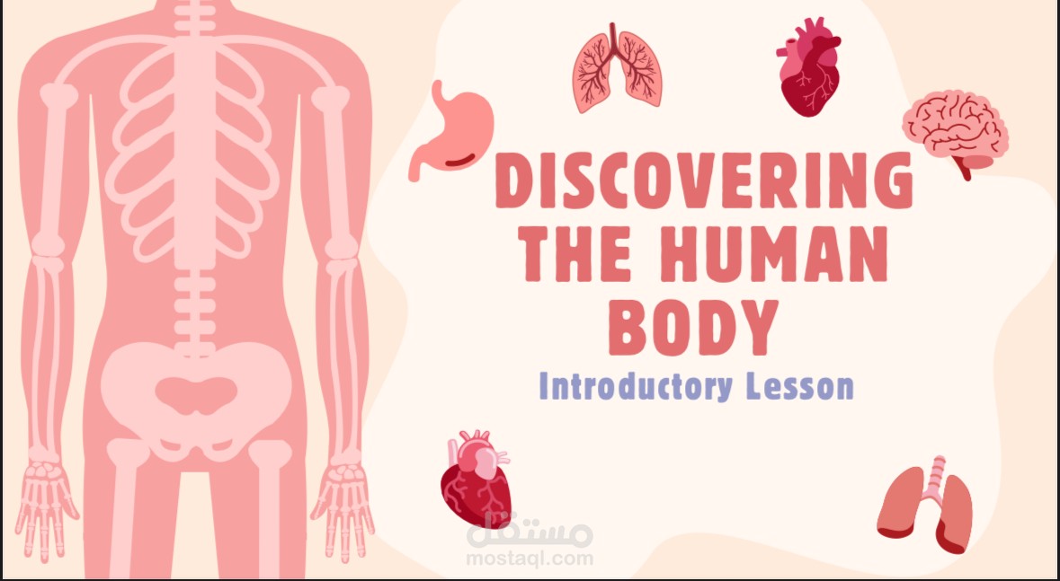 Cell Organelles | Interactive Educational Presentation