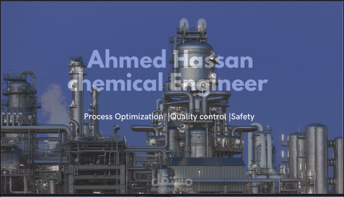 Professional CV Presentation