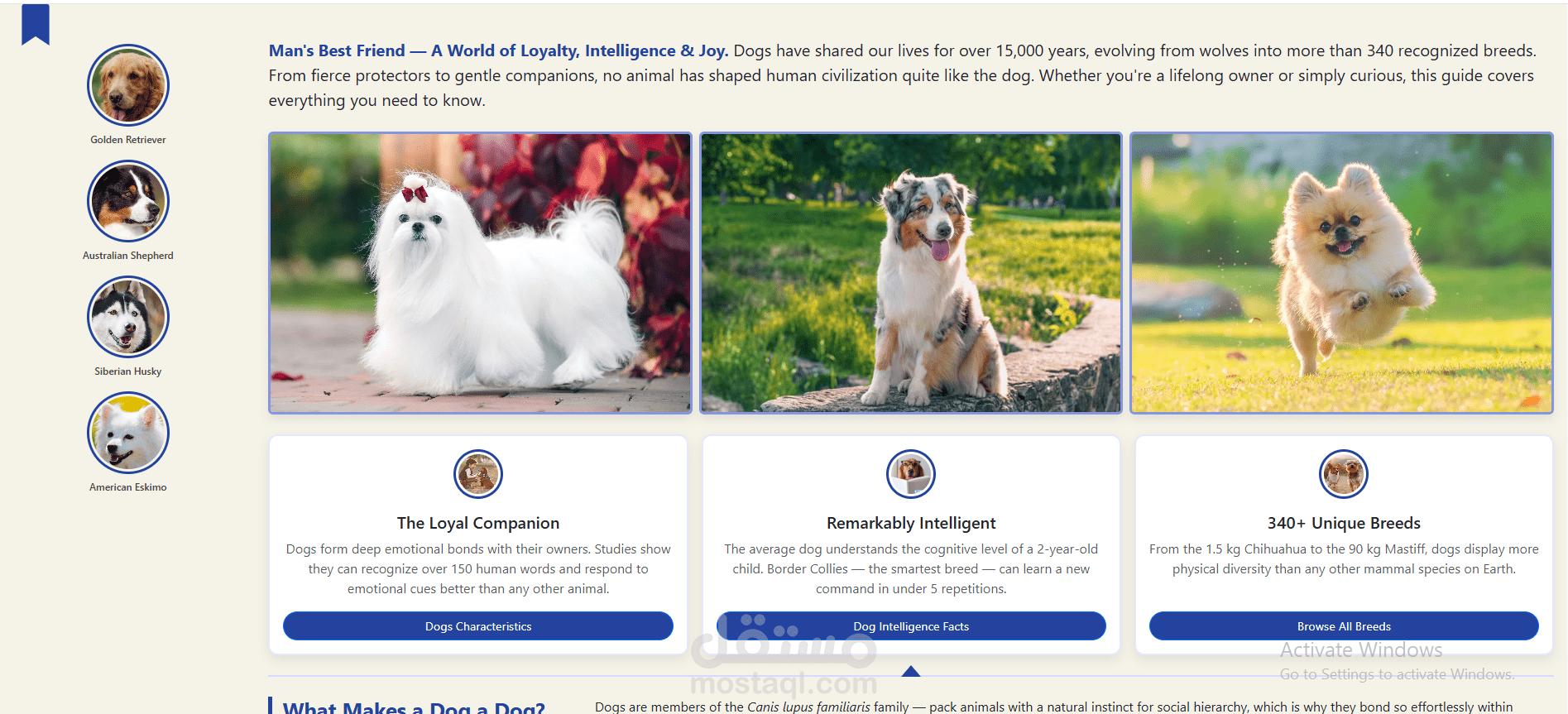 Dog Breeds Informational Website