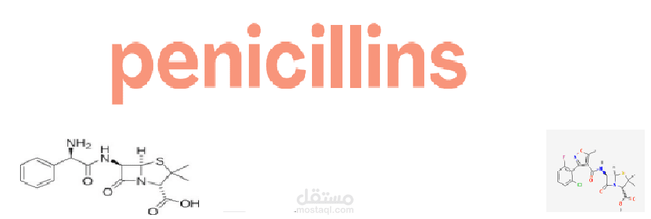 بوستر طبي احترافي عن المضادات الحيوية (Penicillins)