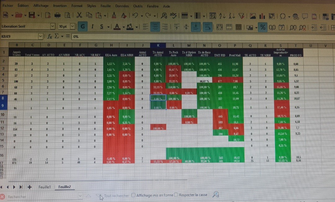 إدخال وتنظيم البيانات بدقة (Data Entry)