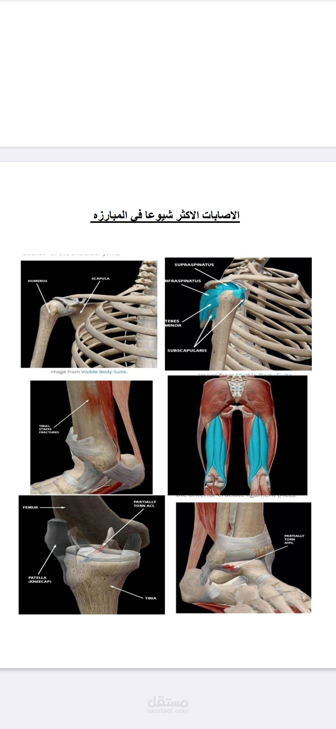 الاصابات وكيفيه علاجها والتعامل معها في الرياضه