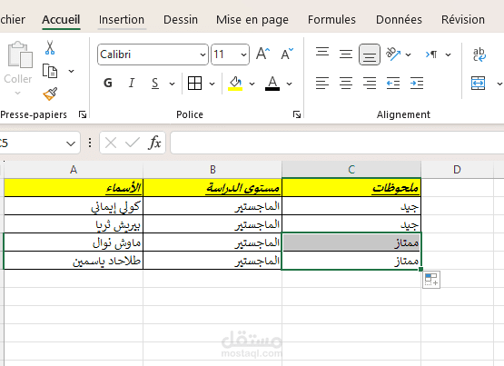 نموذج إدخال بيانات بسيط