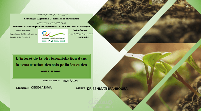 presentation ppt about phytoremediation