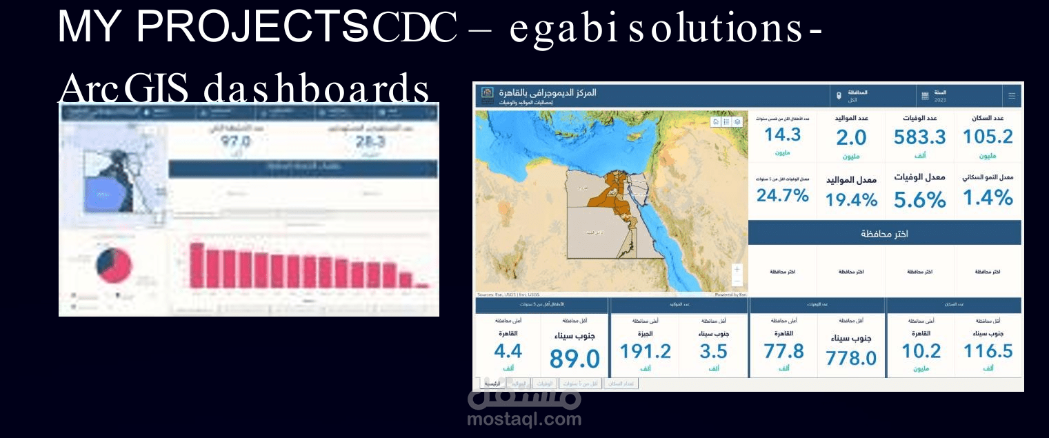 بوابة جغرافية الصالح مركز القاهرة الديموغرافي والتكامل بين قواعد البيانات المختلفة لدعم اتخاذ القرار