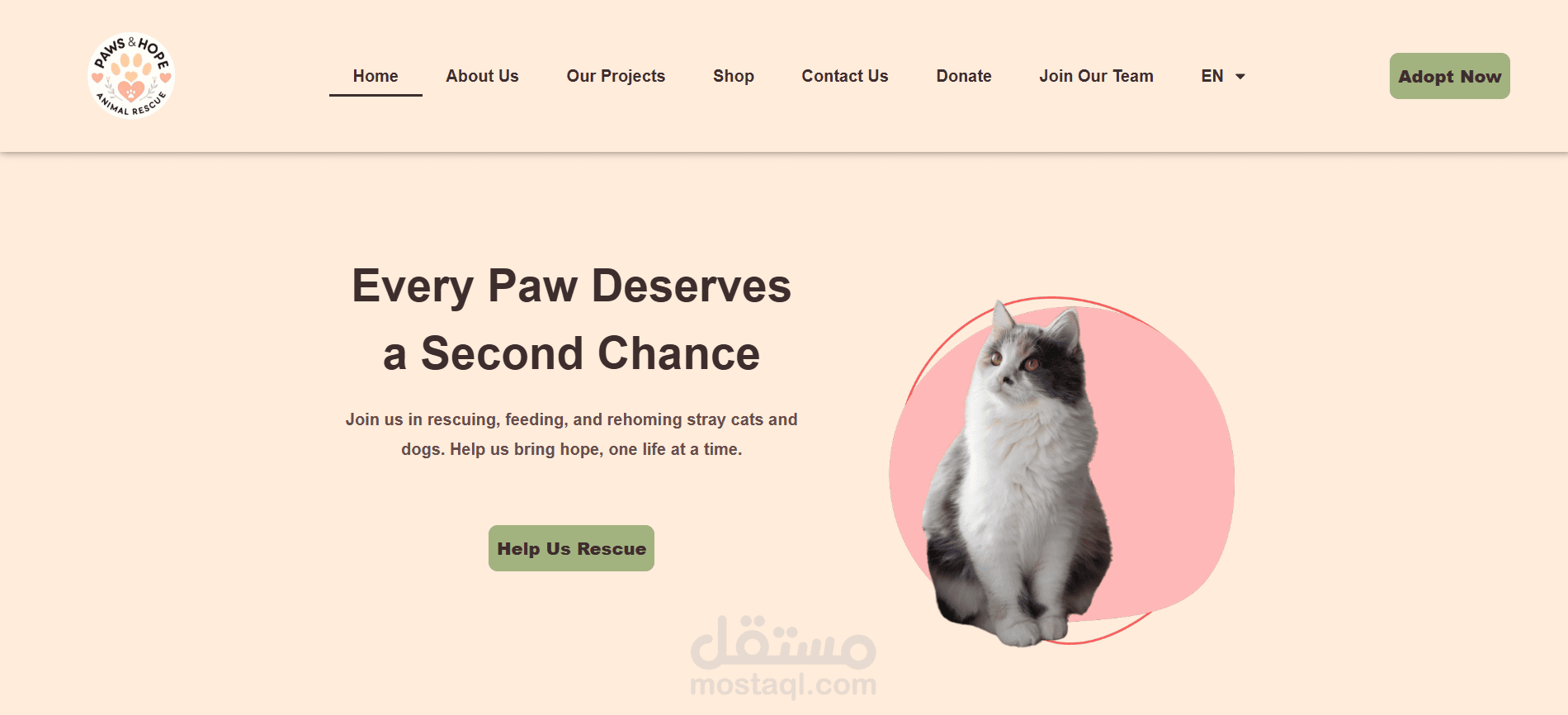 تصميم وتطوير موقع PAWS AND HOPE