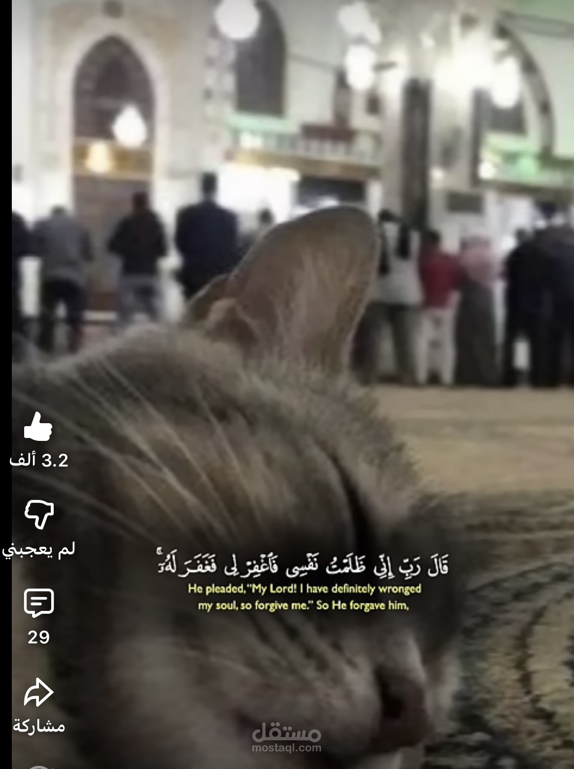 تصميم فيديو ريلز Reels احترافي