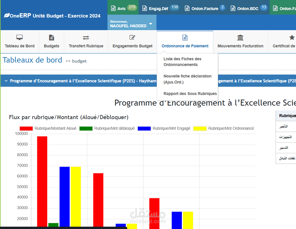 تطوير نظام إدارة أعمال (ERP) مخصص للشركات